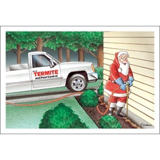 Termite Pest Control