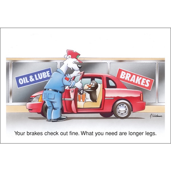 Your Brakes Check Out Fine