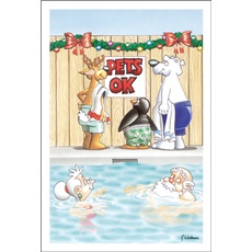 Pet's Ok In The Pool