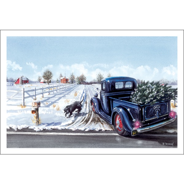 Pickup Meets Dog On Country Road