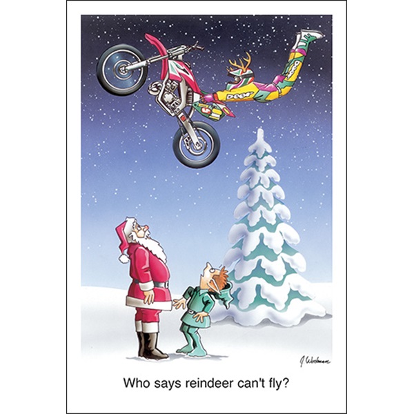 Who Says Reindeer Cant Fly