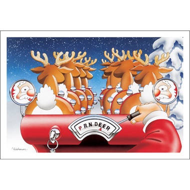 Santa Driving Reindeer