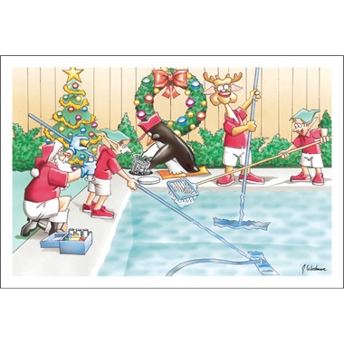 Santa's Pool Service